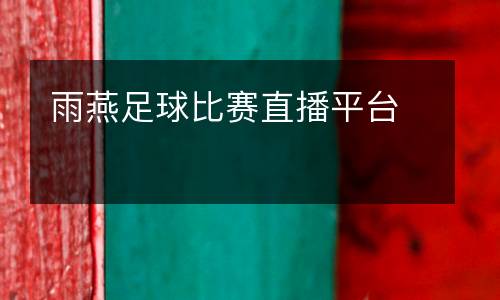 雨燕足球比賽直播平臺