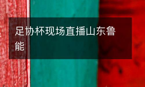 足協(xié)杯現(xiàn)場直播山東魯能