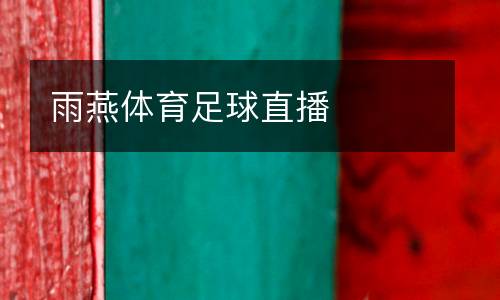 雨燕體育足球直播