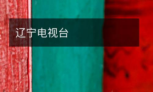 遼寧電視臺(tái)