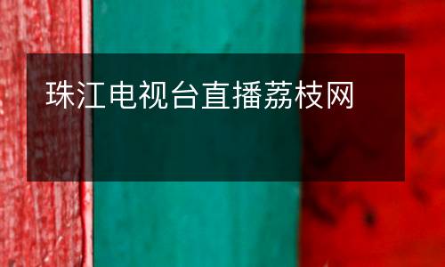 珠江電視臺直播荔枝網